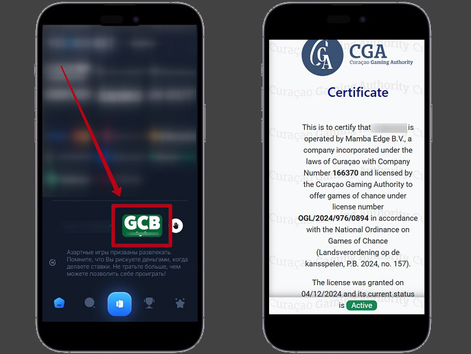 Лицензия казино