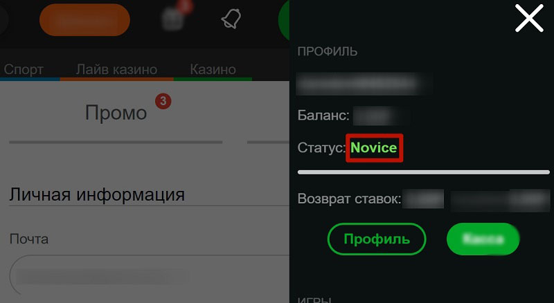 Как узнать статус
