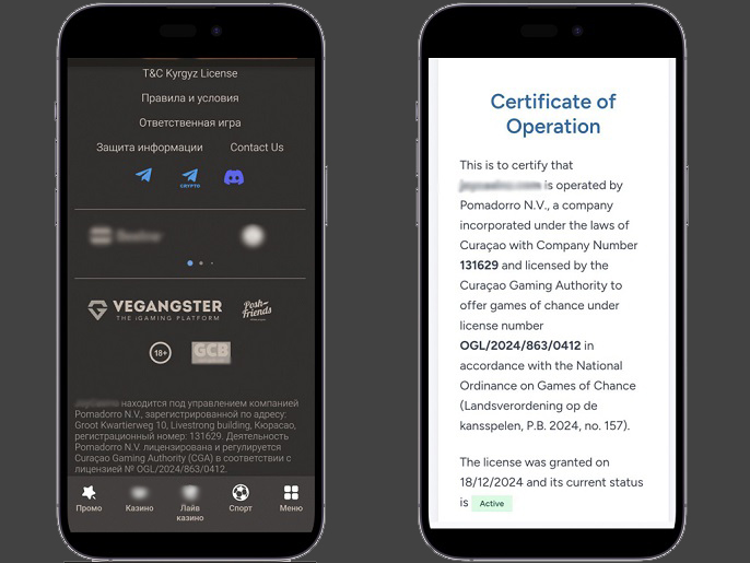 Проверка лицензии
