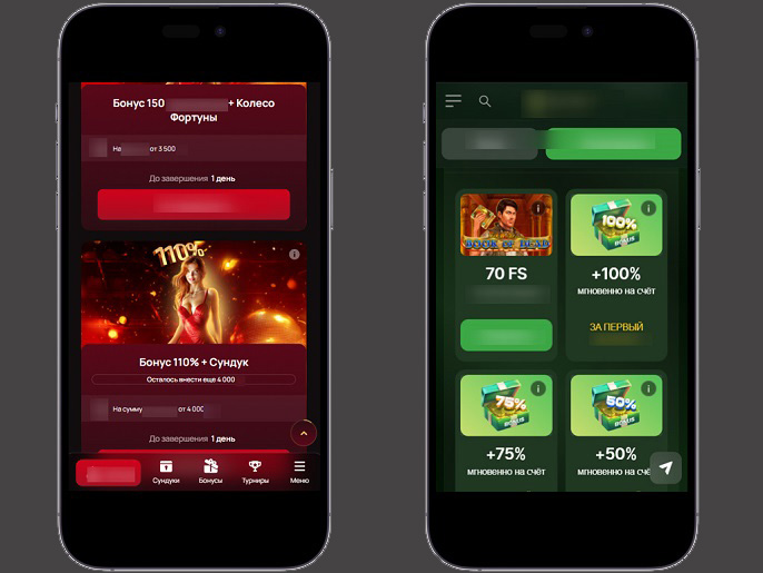 Бонусная программа